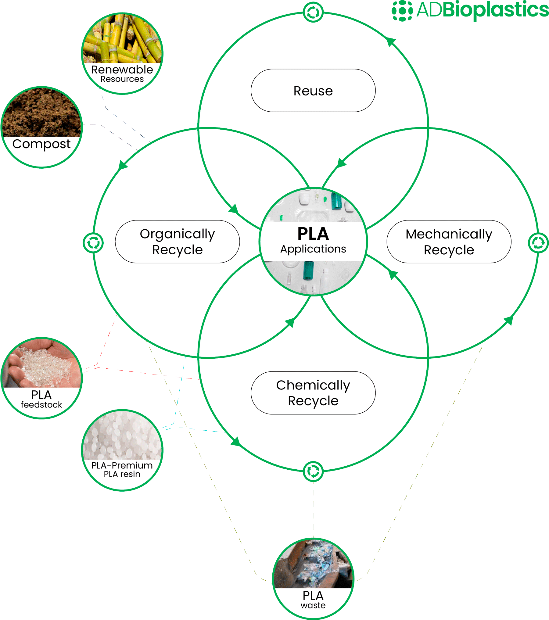 Graph on the types of recycling that PLA bioplastic can go through in its life cycle.